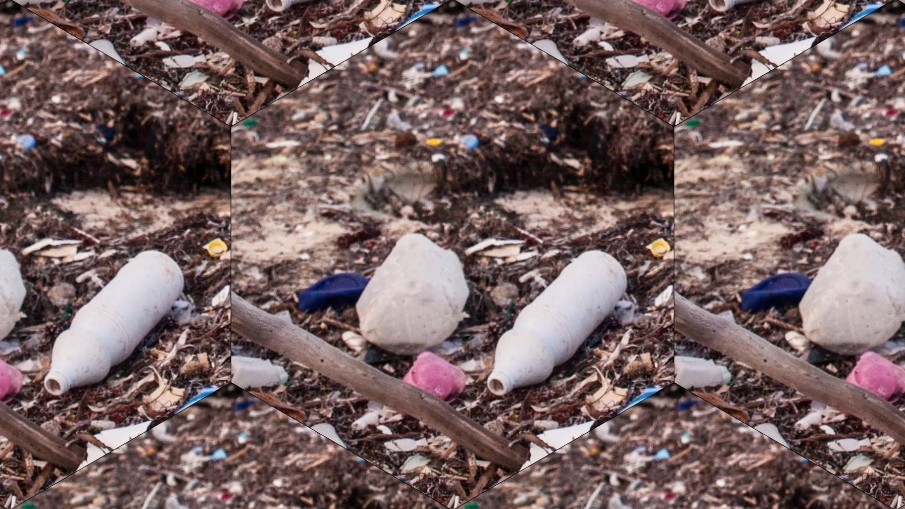 Image 2 of 8 in Washed Ashore - Animation Images