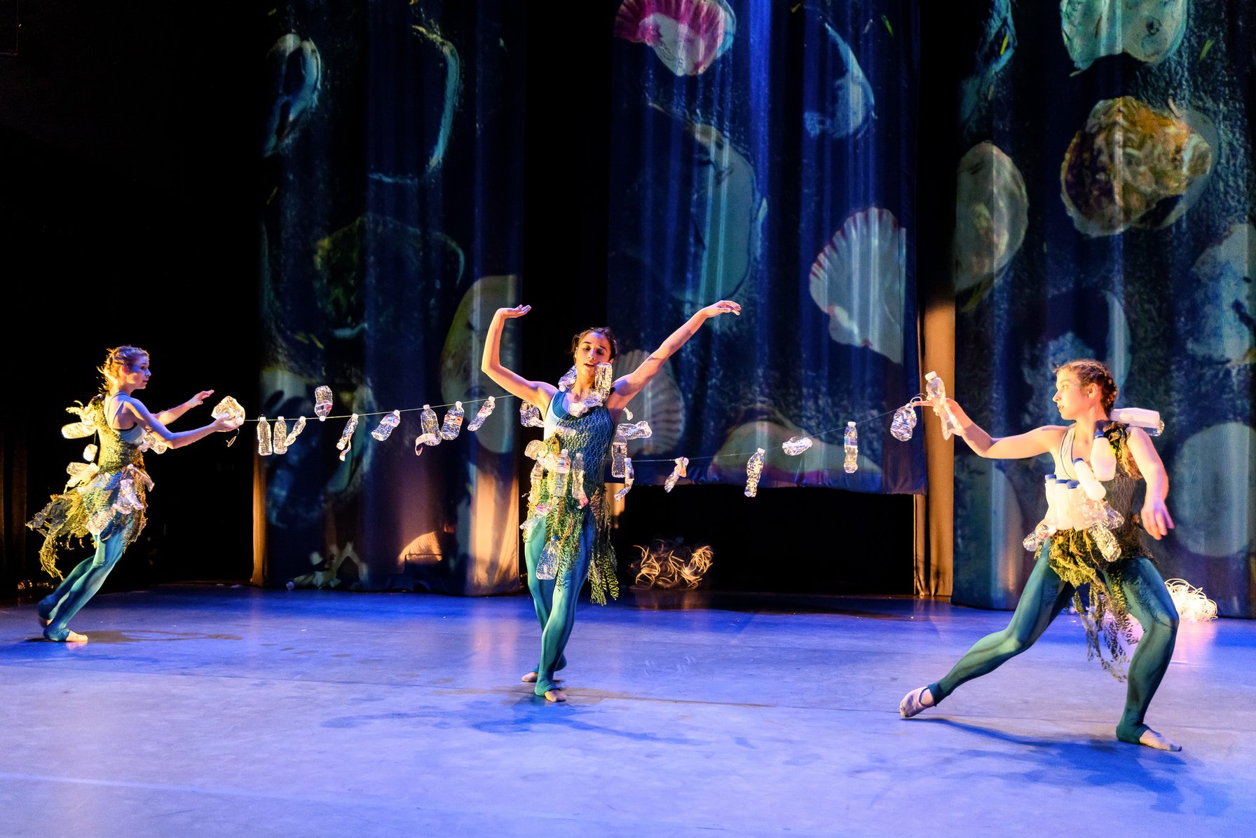 Image 8 of 25 in YOMO: Intermedia